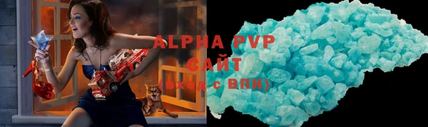 гашик Белокуриха