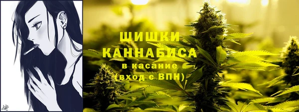 гашик Белокуриха