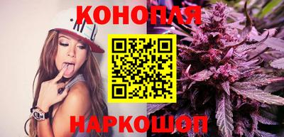 эйфоретик Владимир