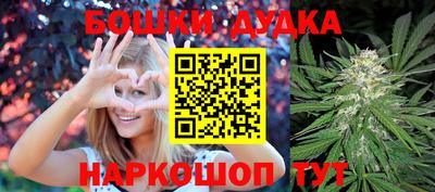 эйфоретик Владимир