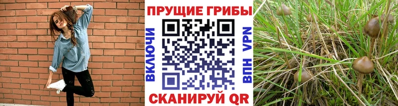 Галлюциногенные грибы MAGIC MUSHROOMS  купить закладку  Воркута 