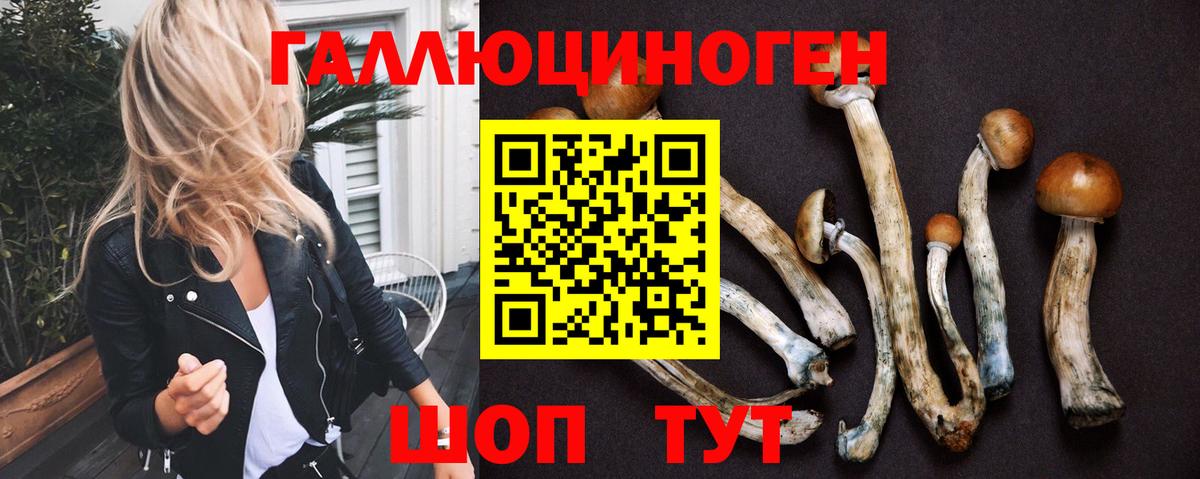 Галлюциногенные грибы GOLDEN TEACHER Воркута
