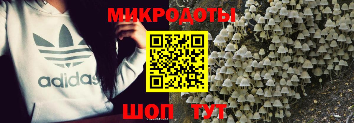 Галлюциногенные грибы мухоморы  Псилоцибиновые грибы GOLDEN TEACHER  Воркута  Вход с VPN 